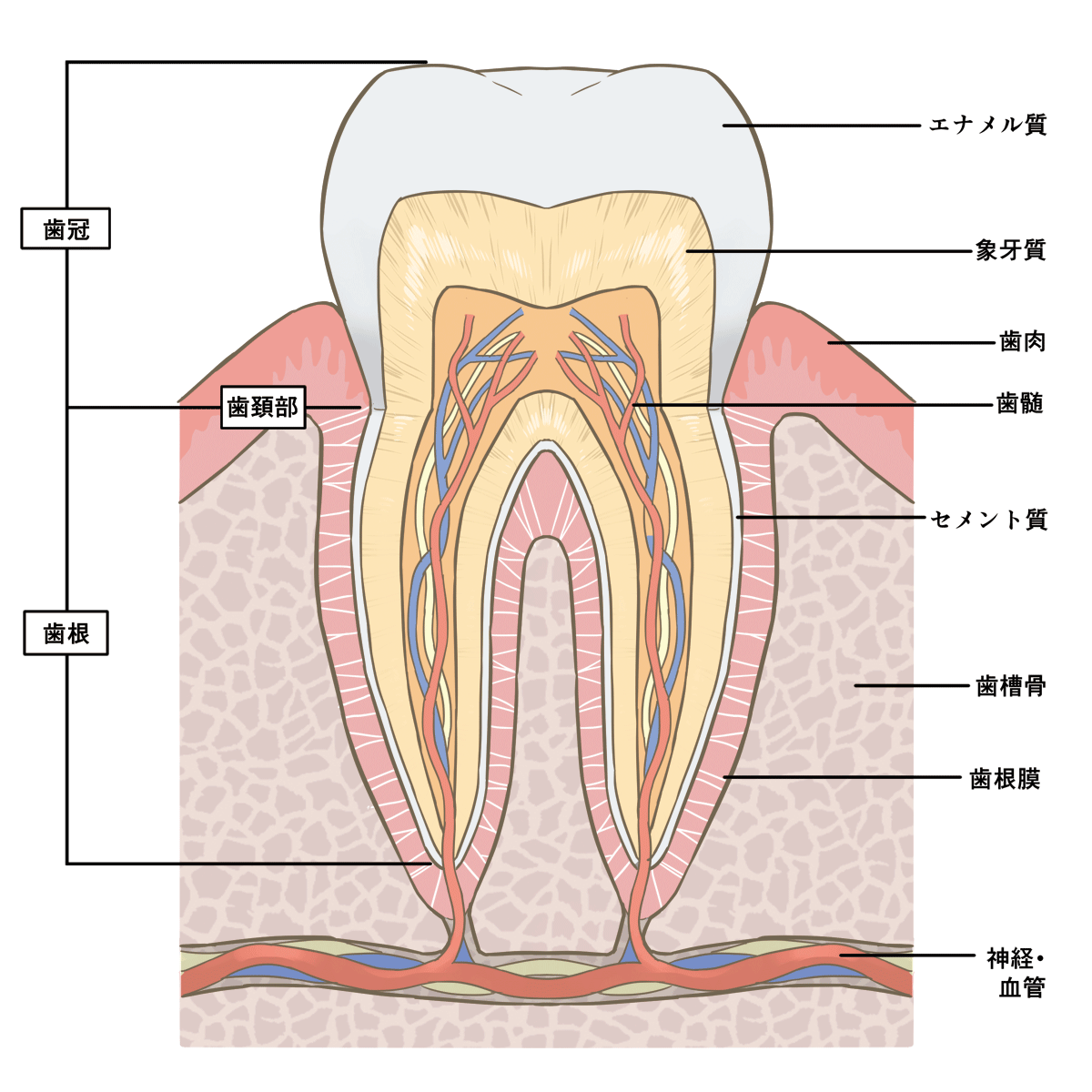 制作事例_01